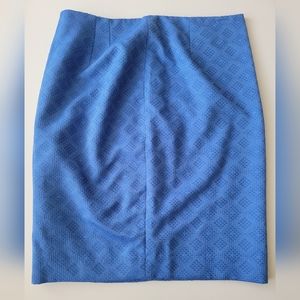 The limited blue Skirt